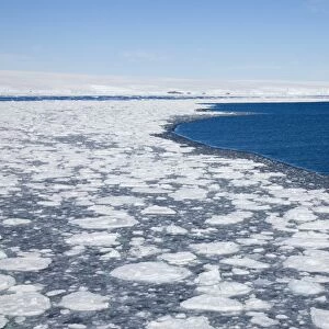 Pack ice, Dumont d Urville, Antarctica, Polar Regions