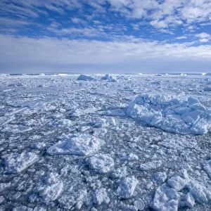 Pack ice and icebergs, Antarctic Peninsula, Weddell Sea, Antarctica, Polar Regions