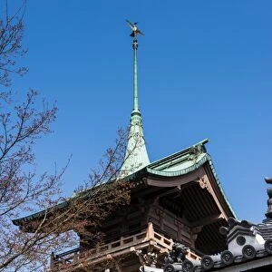 Pagoda in the cherry blossom in the Maruyama-Koen Park, Kyoto, Japan, Asia