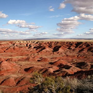 Painted Desert, Arizona, United States of America, North America