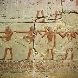 Painted reliefs in mastaba (tomb), Saqqara, Egypt, North Africa, Africa