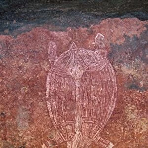 Painting of turtle at the aboriginal rock art site at Obirr Rock in Kakadu National Park where the paintings date from 20000 years old to modern, UNESCO World Heritage Site, Northern Territory