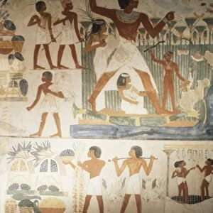 Paintings of scenes of everday life in the tomb of Nakht, Minister of Agriculture in the reign of Tutmosis IV, Valley of the Nobles, Thebes, UNESCO World Heritage Site, Egypt, North