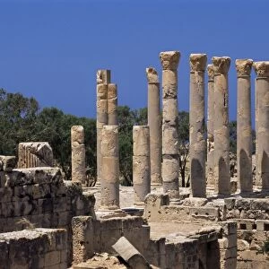 Palace columns