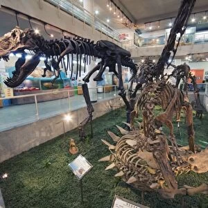 Paleozoological Museum of China, Beijing, China, Asia