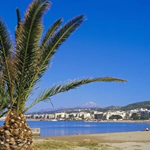 Palm tree and Rethymo beach