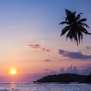 Palm tree at sunset on tropical Mirissa Beach, South Coast of Sri Lanka, Southern Province, Sri Lanka, Asia