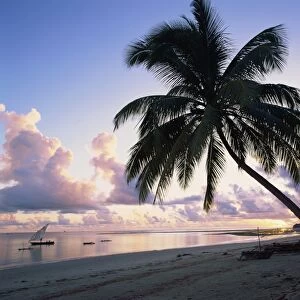 Palm tree on tropical beach, with boats offshore, at dawn, in Tanzania