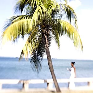 Palm tree and woman in white dress, Punta Gorda, Cienfuegos, Cuba, West Indies