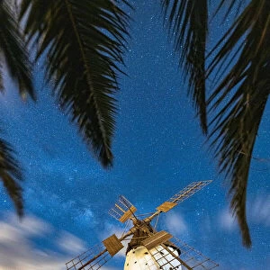 Palm trees framing a lone windmill under Milky Way, El Cotillo, La Oliva, Fuerteventura