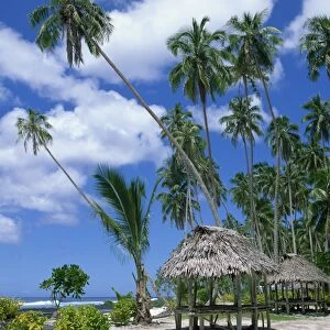 Palm trees and thatched shelters on the beach at Lefaga, Western Samoa