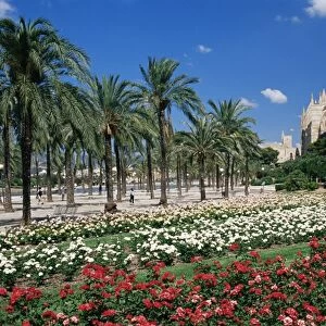 Palma cathedral and gardens of Parc de la Mar square