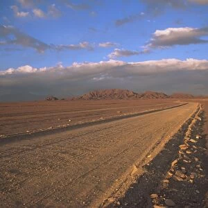 Pampa, Llalqui, Atacama Desert, Chile, South America