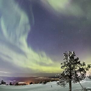Panorama of snowy woods and frozen trees framed by Northern Lights (Aurora Borealis) and stars