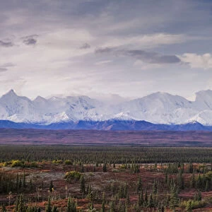 Panoramic landscape of the Denali Mountain (Mount McKinley), Denali National Park