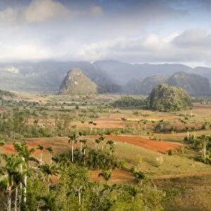Panoramic view of the Vinales Valley showing limestone hills known as Mogotes