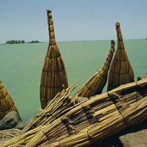 Papyrus boats propped up beside Lake Tana, Gondar Ethiopia, Africa