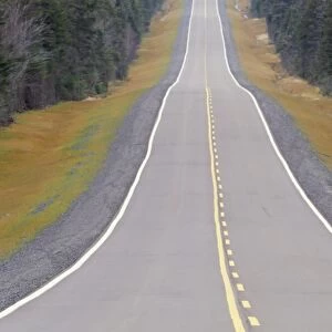 Park road, Kouchibouguac National Park, New Brunswick, Canada, North America