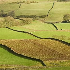 Patchwork of fields, lower slopes of Pennines, Eden Valley, Cumbria, England