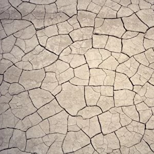 Patterns in mud cracks in drought area