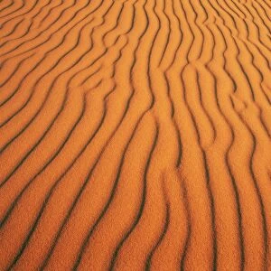 Patterns in sand dunes in Erg Chebbi sand sea
