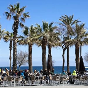 Pavement cafe and coffee bar under palm trees, promenade area, Barceloneta, Barcelona, Catalunya, Spain, Europe