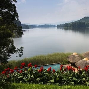 Pavilion and flowers at a viewpoint overlooking Lake Bunyonyi, Uganda, East Africa, Africa