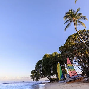 Paynes Bay, colourful sail boats on pink sand beach, sunrise, palm trees