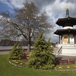 The Peace Pagoda, Battersea Park, Battersea, London, England, United Kingdom, Europe