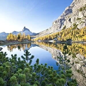 The peak of the Becco di Mezzodi, in the Dolomites, reflecting in the Federa lake, surrounded by yellow larches, Trentino-Alto Adige, Italy, Europe