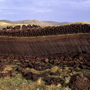 Peat cutting