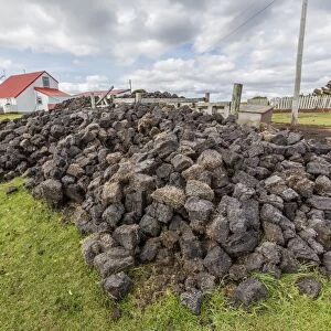 Peat drying in the wind for fuel at Long Island Sheep Farms, outside Stanley, Falkland Islands, U. K. Overseas Protectorate, South America