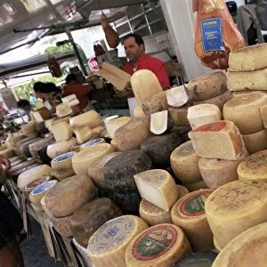 Pecorino cheese in the market