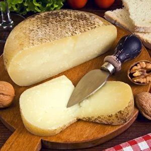 Pecorino, a sheep cheese, Italy, Europe