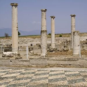 Pella, Alexander the Greats old city, Macedonia, Greece, Europe