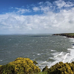 Pembrokeshire Coast National Park, seen near Marloes and St