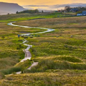 Pen-y-ghent one of the Yorkshire Three Peaks, Ribble Valley, Yorkshire Dales National Park, North Yorkshire, England, UK