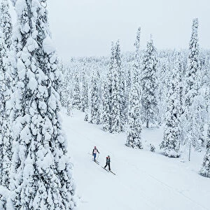 Two people cross country skiing in the snowy forest, aerial view, Lapland, Finland, Europe