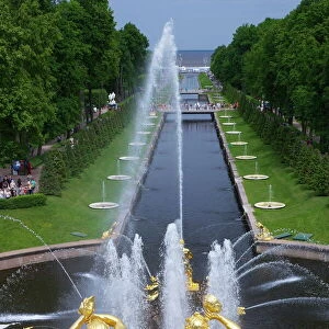 Peterhof Fountains of the Grand Cascade and gardens in summer, Petrodvorets, St. Petersburg, Russia, Europe