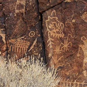 Petroglyphs, Parowan Gap, Iron County, Utah, United States of America, North America