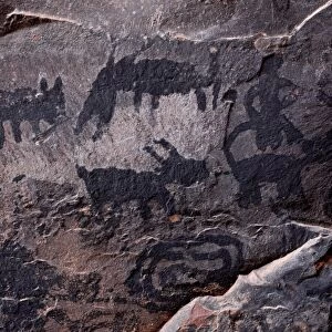 Pictographs, Palatki Heritage Site, Coconino National Forest, Arizona, United States of America