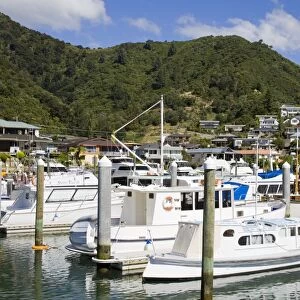 Picton Harbour Marina, Picton, South Island, New Zealand, Pacific