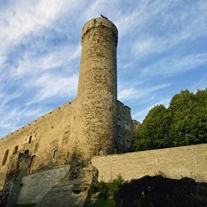 The Pikk Hermann Tower, part of the Toompea Castle, Tallinn, Estonia, Baltic States