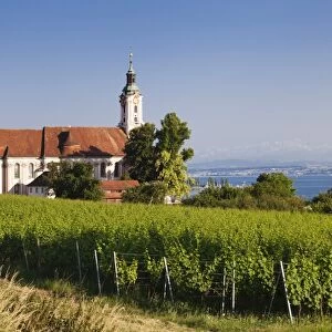 Pilgrimage church of Birnau Abbey and vineyards, Unteruhldingen, Lake Constance (Bodensee), Baden Wurttemberg, Germany, Europe
