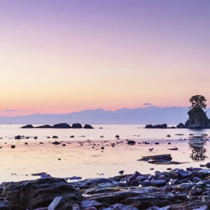 Pine tree on a rock outcrop in the Sea of Japan, Ameharakaigan, Toyama prefecture, Honshu