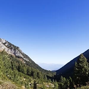 Pirin National Park, UNESCO World Heritage Site, Bansko, Bulgaria, Europe