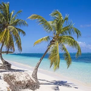 Playa Cabeza de Toro, Punta Cana, Dominican Republic, West Indies, Caribbean, Central