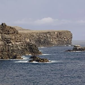 Point Suarez, Espanola Island, Galapagos, Ecuador, South America