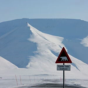 Polar bear sign, Longyearbyen, Svalbard, Spitzbergen, Arctic, Norway, Scandinavia, Europe