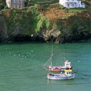 Port Isaac, Cornwall, England, United Kingdom, Europe